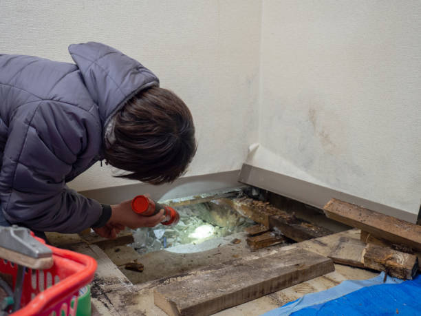 Best Mold Removal for HVAC Installations  in Mystic, CT