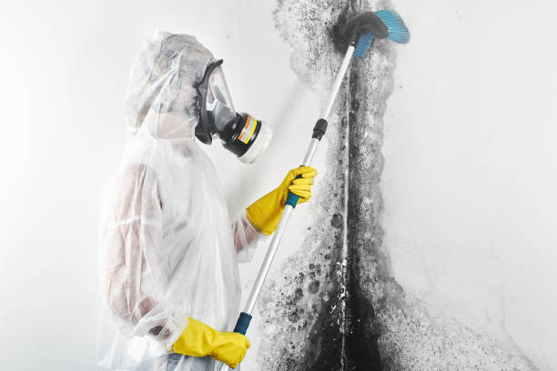 Best Air Quality Testing for Mold Spores  in Mystic, CT