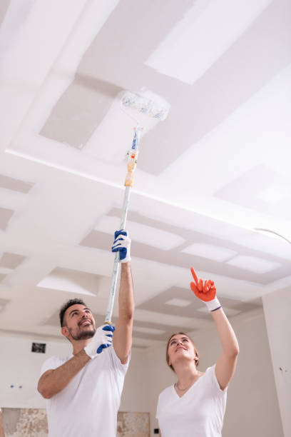 Best Water Damage & Mold Remediation  in Mystic, CT